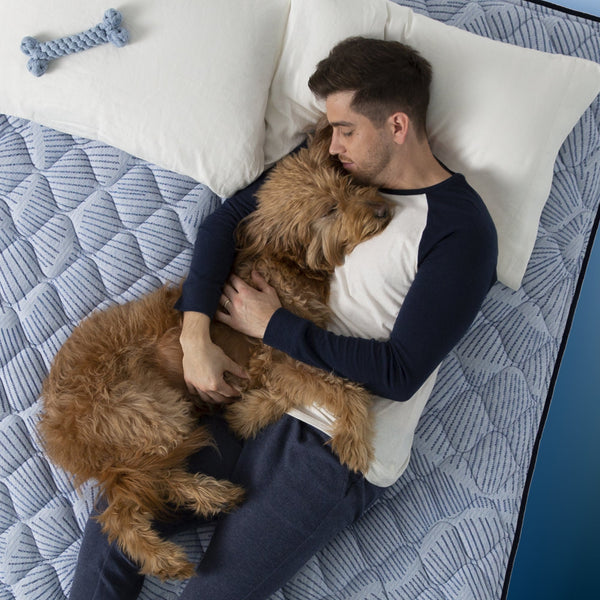 Perfect Sleeper® Blue Lagoon Nights Plush Pillow Top
