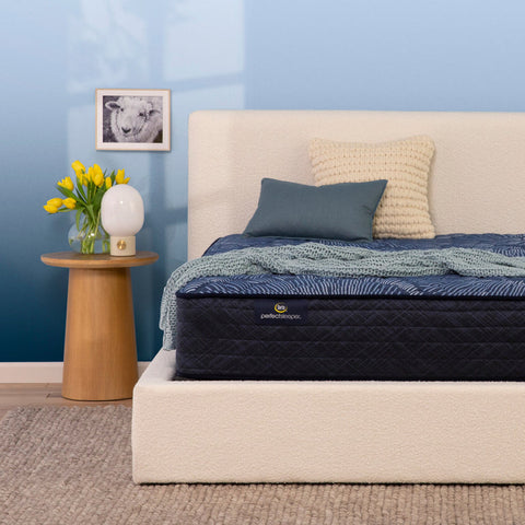 Perfect Sleeper® Cobalt Calm Extra Firm